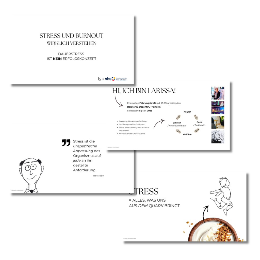 Einblick in Präsentationsfolien zum Vortrag „Stress und Burnout wirklich verstehen“ an der VHS Kreis Offenbach.