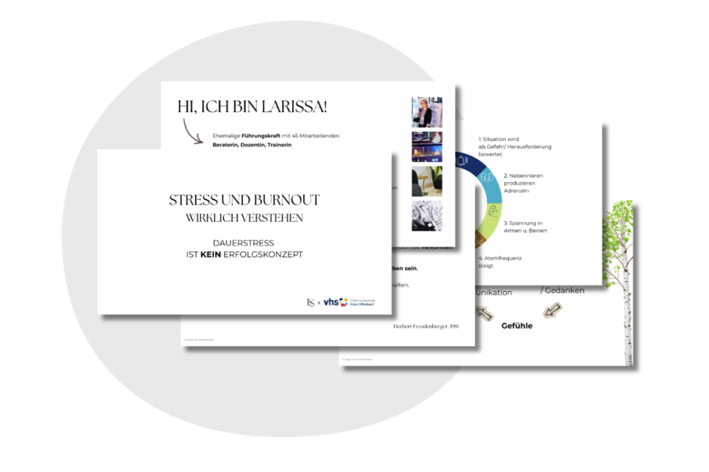 Einblick in Präsentationsfolien zum Vortrag ‚Stress und Burnout wirklich verstehen‘ an der VHS Kreis Offenbach
