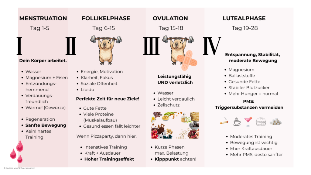 Übersicht Menstruationszyklus mit Phasen und Empfehlungen für Training und Ernährung bei Frauen